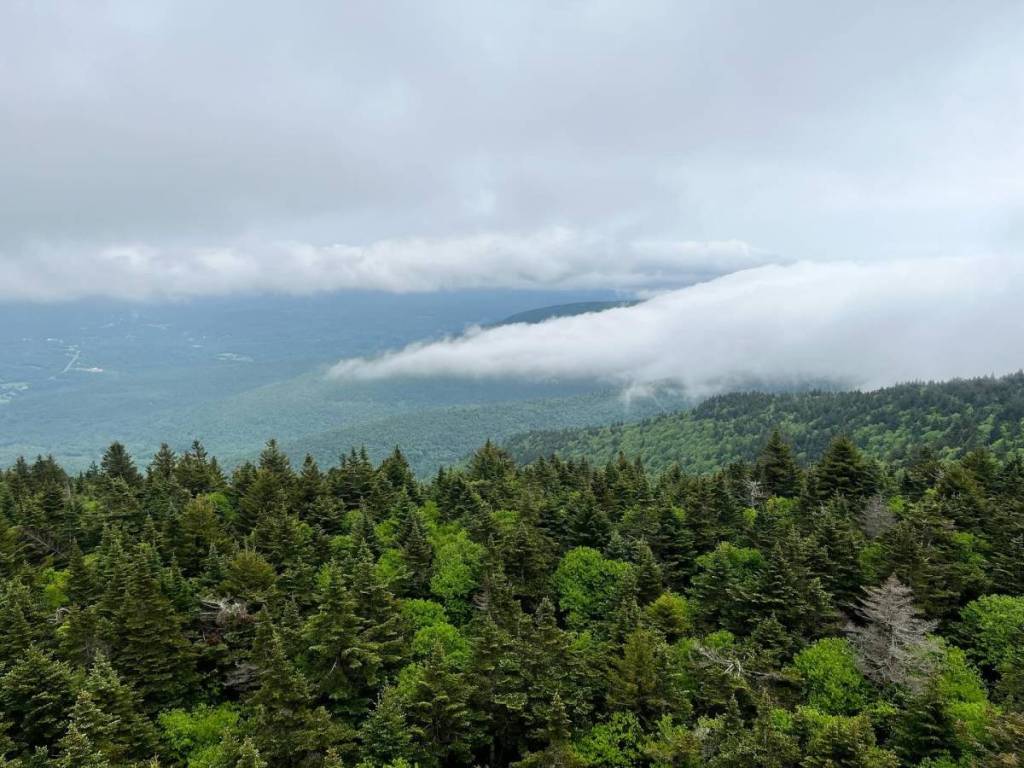 Catskill Center