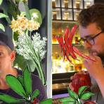 Bar de cócteles Mace NYC: el concepto de las especias por dentro