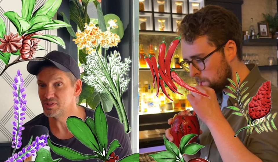 Mace NYC Cocktailbar: Een kijkje in het kruidenconcept