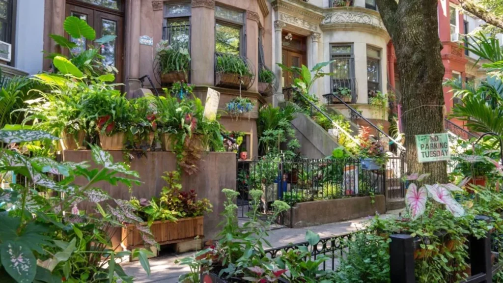 This Brooklyn block was just crowned the greenest in the borough for the fourth time