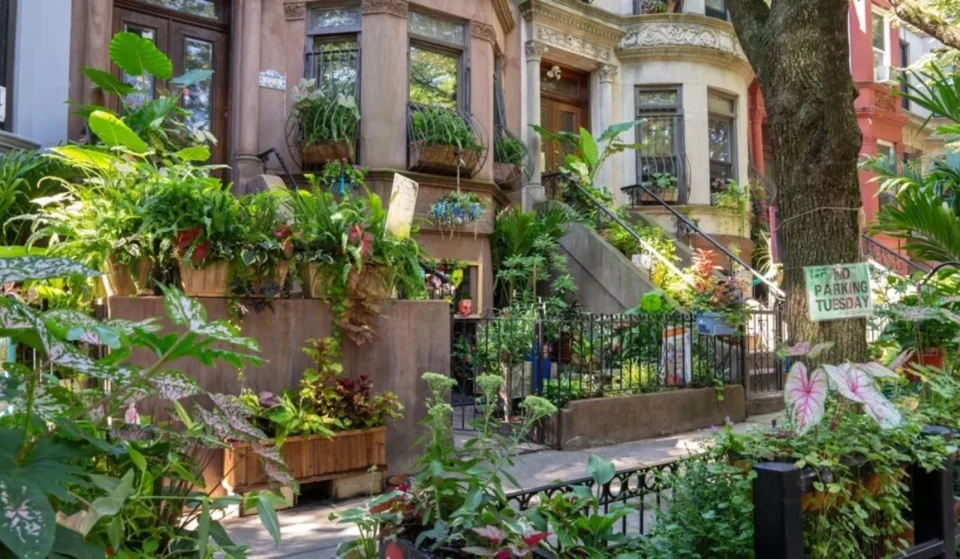 Esse quarteirão do Brooklyn acabou de ser coroado o mais verde do bairro pela quarta vez