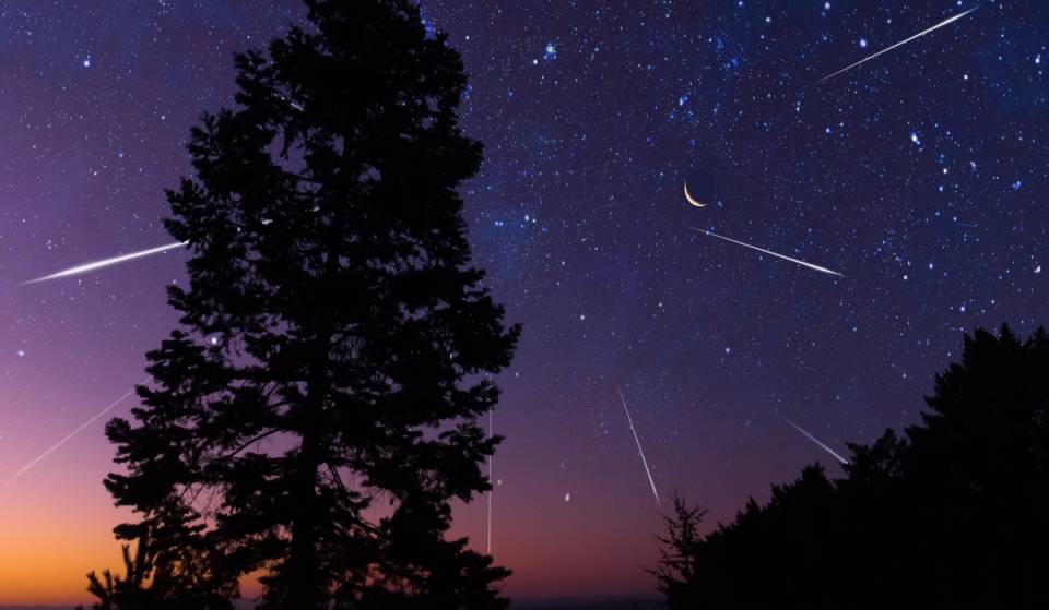 Wann findet der nächste Meteoritenschauer statt? Alles, was ihr wissen müsst, um die Orioniden in der Nähe von NYC zu beobachten