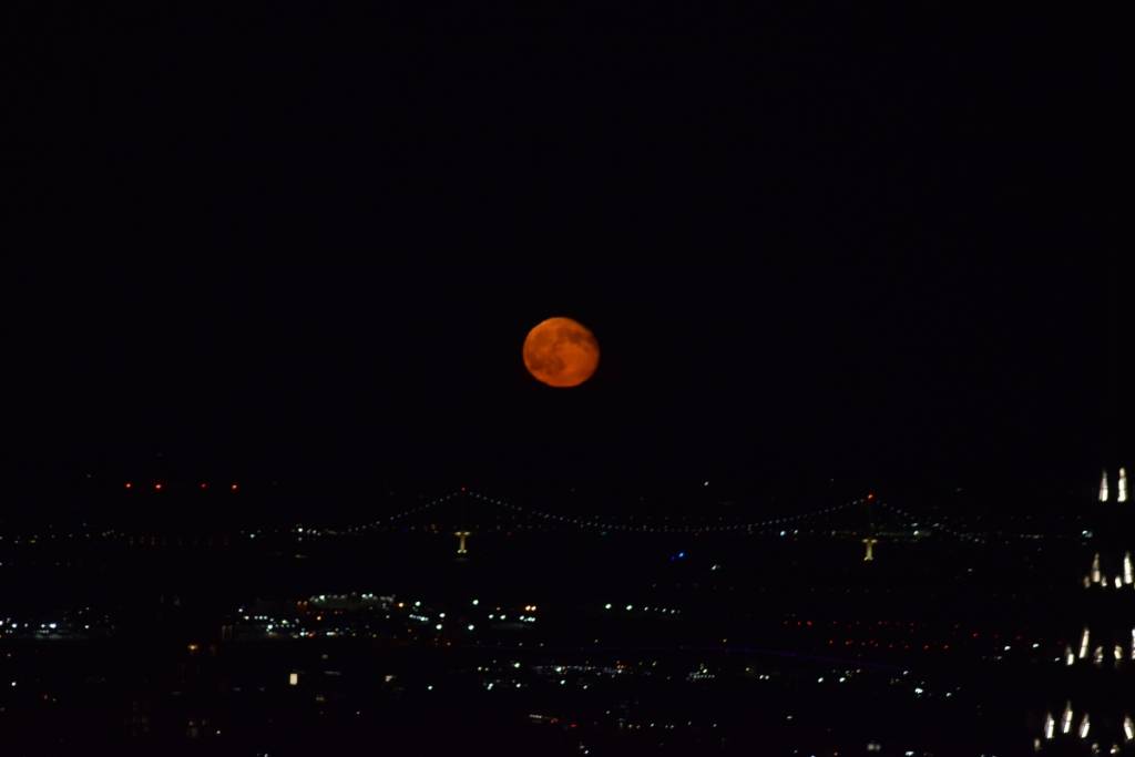 Dopo anni di attesa, una rara eclissi di “luna di sangue” al 96% sta per abbattersi su New York dal 27 al 28 agosto — e gli esperti dicono che non ne vedremo una così impressionante fino al 2028