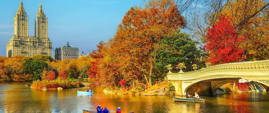 NYC’s 33 best September happenings—the biggest Italian festival in the U.S., NYC’s original county fair, 2-for-1 Broadway tickets, & more