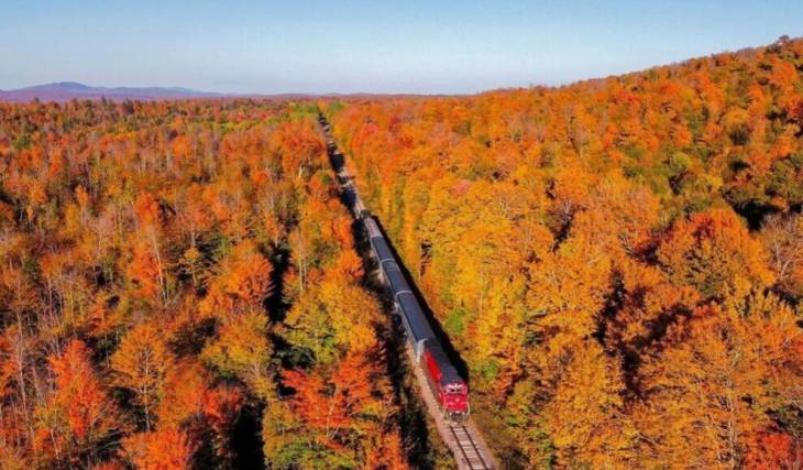 New York’s best scenic train ride is a 5.5-hour trip through 6 million acres of Adirondack wilderness, past fire towers, wetlands, and untouched lakes
