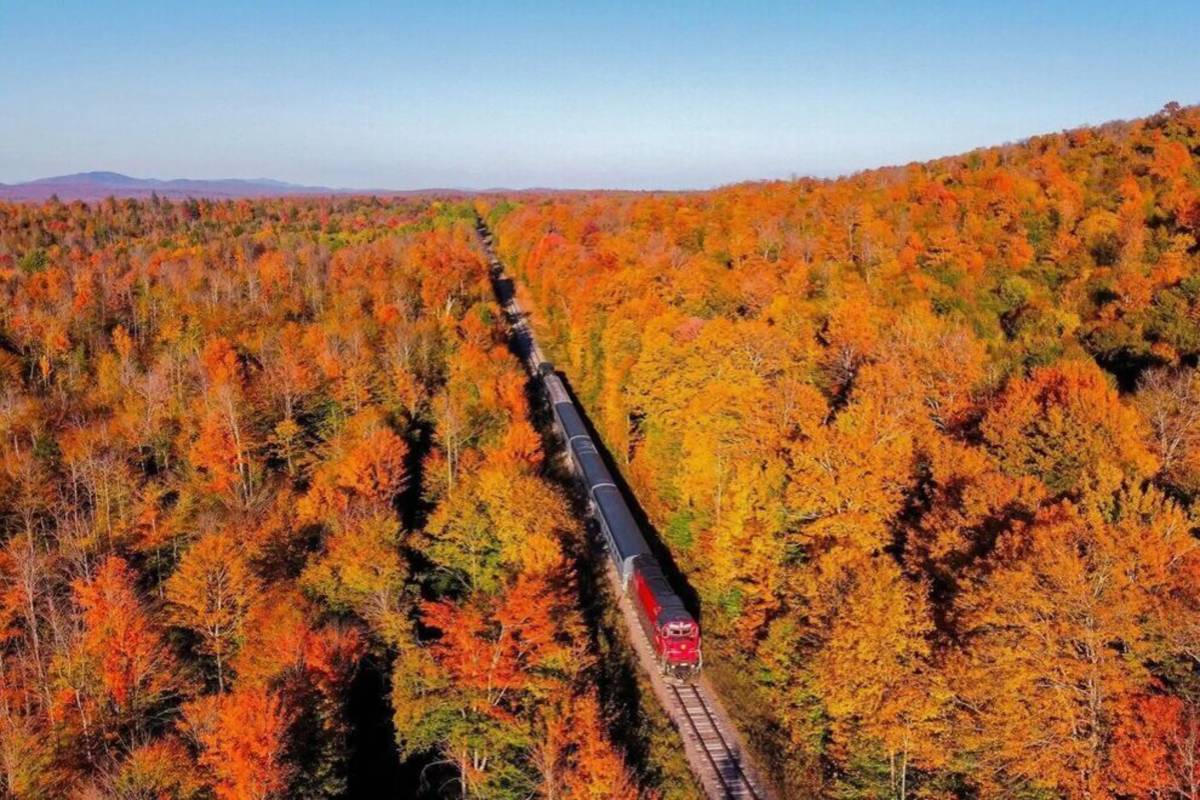 Voted one of America's best scenic train rides, this 5.5-hour ‘Fall Gateway' winding through colorful autumn foliage is now booking for 2026