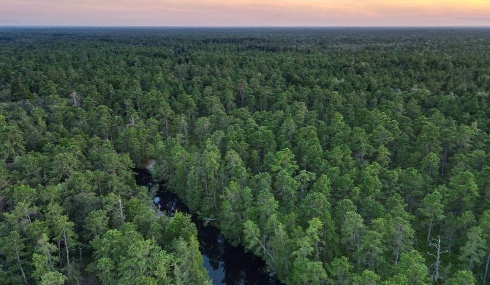 Less than 2 hours from NYC: New Jersey’s largest state park has hidden ghost towns and amazing views — and most New Yorkers have never been