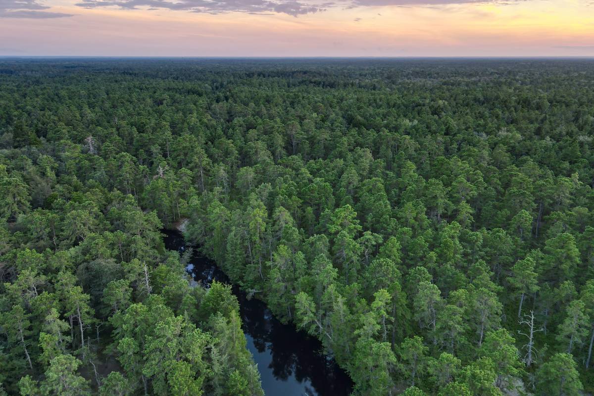 Less than 2 hours from NYC: New Jersey's largest state park has hidden ghost towns and amazing views — and most New Yorkers have never been