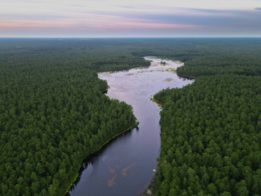 Fotografia aerea delle Pine Barrens del New Jersey e del fiume Mullica
