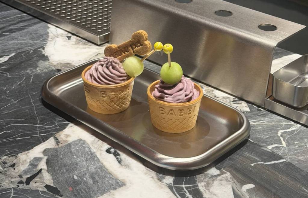 two native pet daily deuce pup cups on a silver tray on a marble ice cream parlour countertop