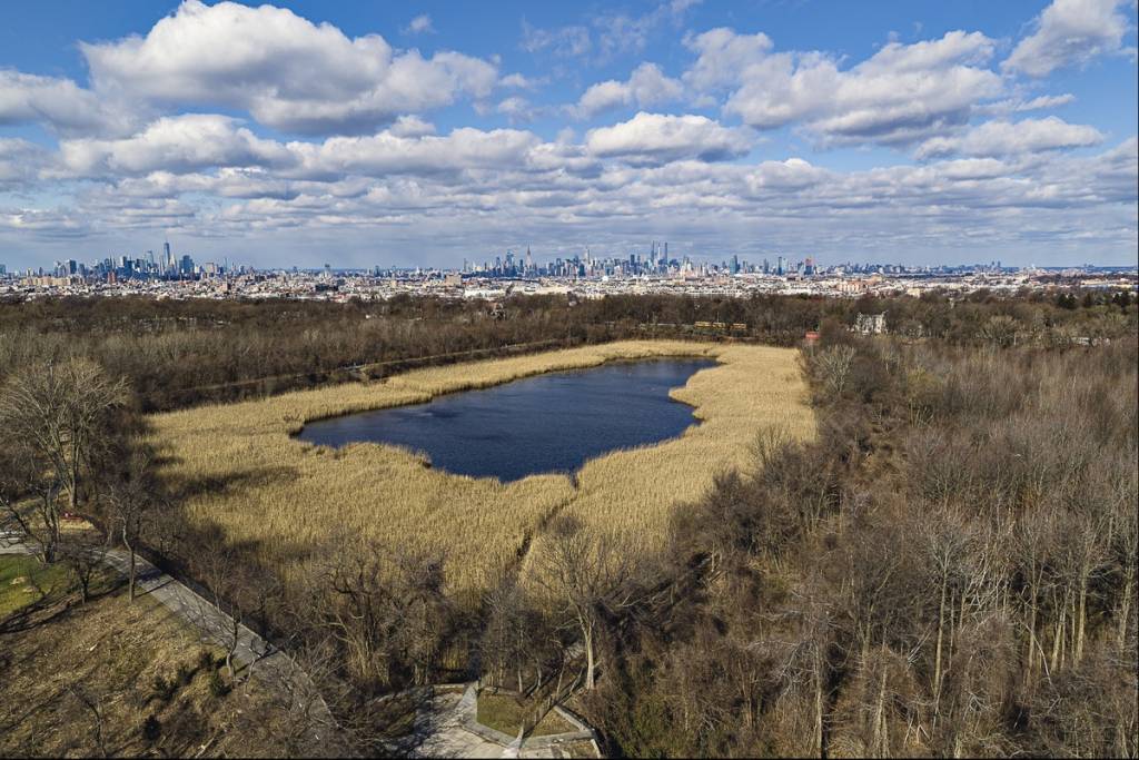 Nachdem es 1989 vollständig entleert wurde, entwickelt sich dieser 50-Acre große, versteckte Stausee zwischen Brooklyn und Queens zur beliebtesten ökologischen Comeback-Geschichte von NYC