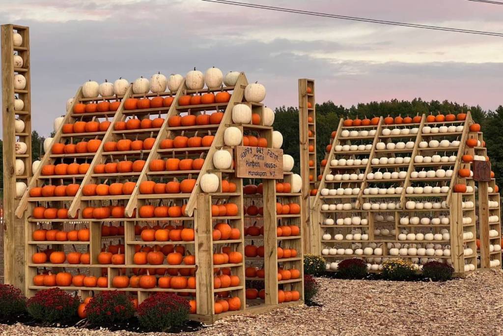 Happy Day Farm pumpkin house