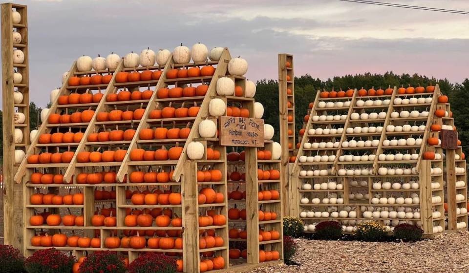 Questa enorme fattoria del New Jersey, che si estende su 130 acri, aprirà un labirinto di mais dedicato a Dolly Parton e un villaggio delle zucche di 10 acri a solo un’ora da New York