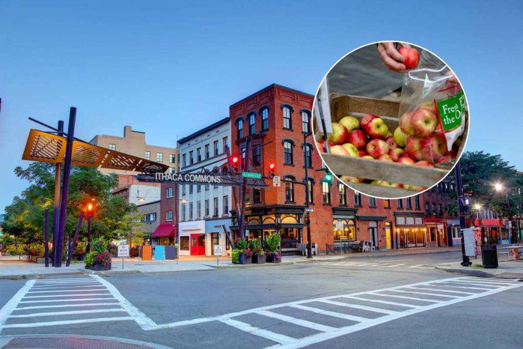 Diese Universitätsstadt an den Finger Lakes sperrt ihr beliebtes Stadtzentrum für ein dreitägiges Festival rund um Äpfel und Apfelweinkrapfen