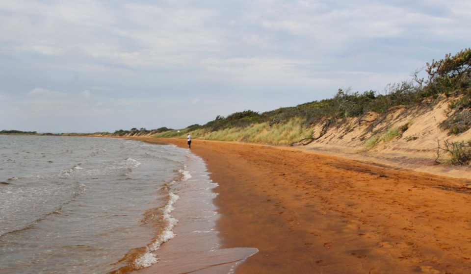 This iconic coastal town is the farthest you can get from NYC on a direct LIRR train — and it’s a surprisingly perfect fall getaway with ocean views, fall foliage &amp; cozy charm