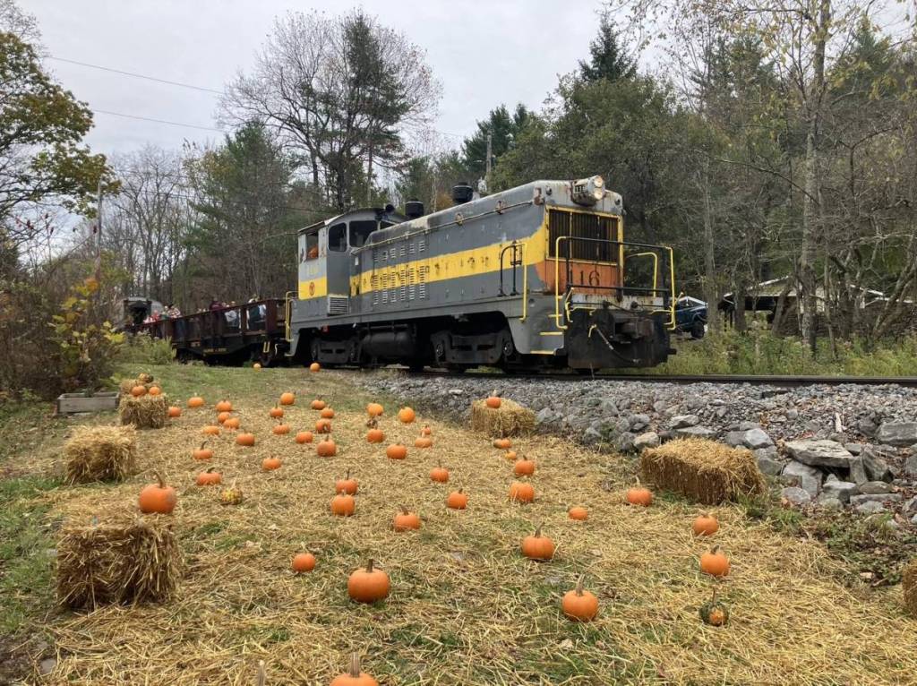 Delaware & Ulster Railroad fall foliage train rides