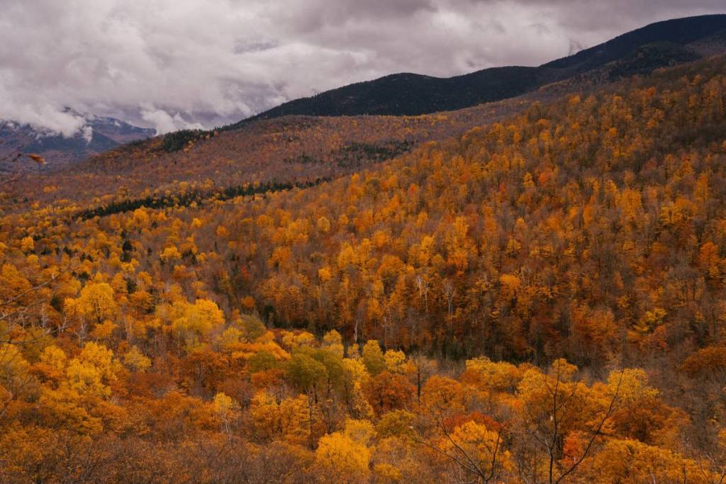 catskills fall foliage