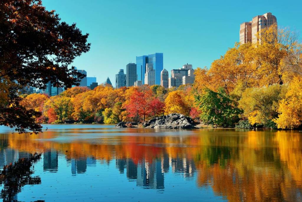 Herbstlaub NYC