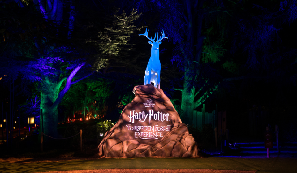 A apenas 40 milhas de Nova York, esse parque estadual de 960 acres está trazendo de volta a Floresta Proibida de Harry Potter depois de 4 anos — com mais de 4.000 luzes, criaturas em tamanho real e feitiços interativos com varinhas