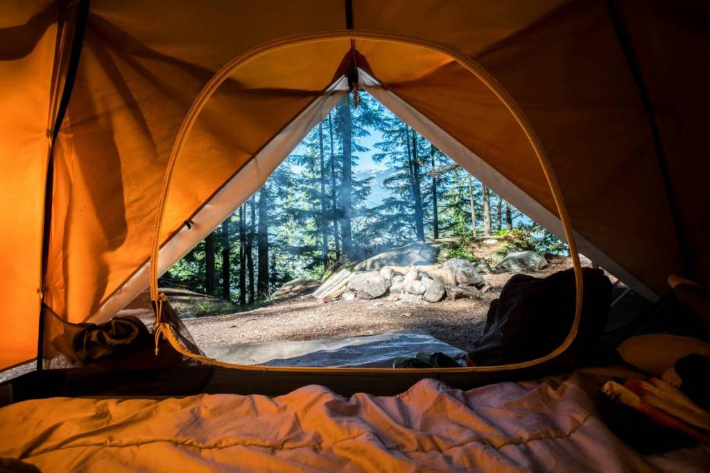 acampar na floresta