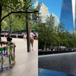 De video over de ‘9/11 Survivor Tree’ bij het World Trade Center