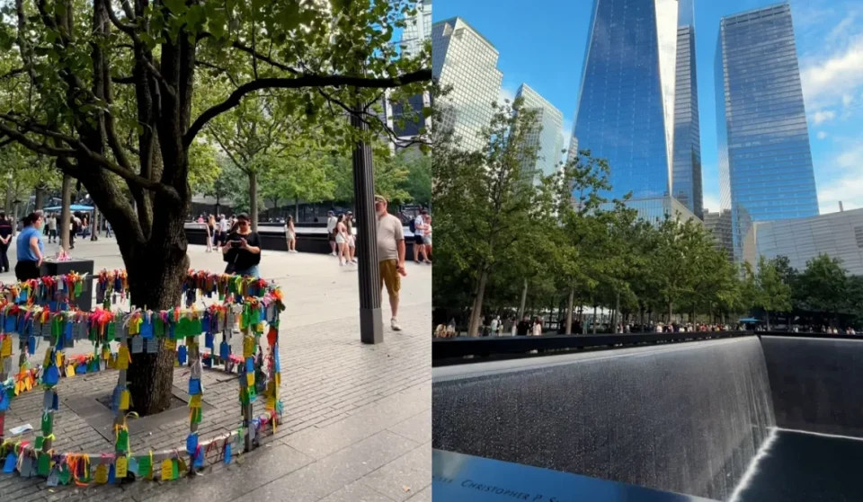 The 9/11 Survivor Tree video at the World Trade Center