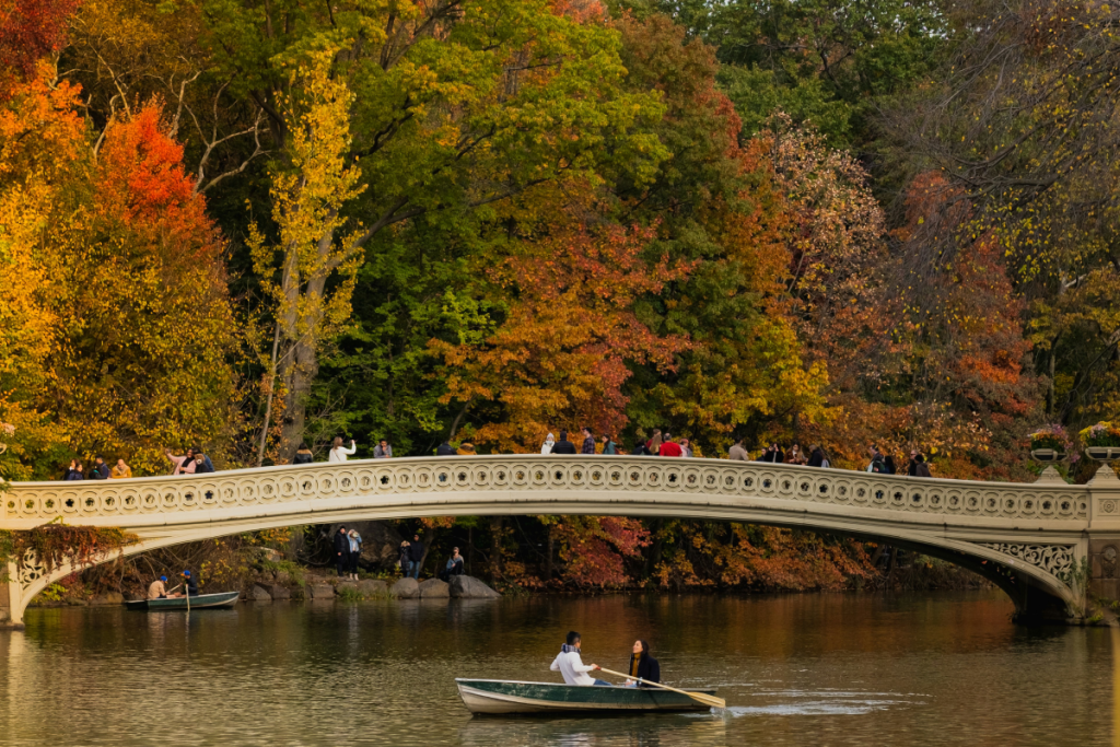 Bow Bridge im Central Park, NYC – Herbstlaub
