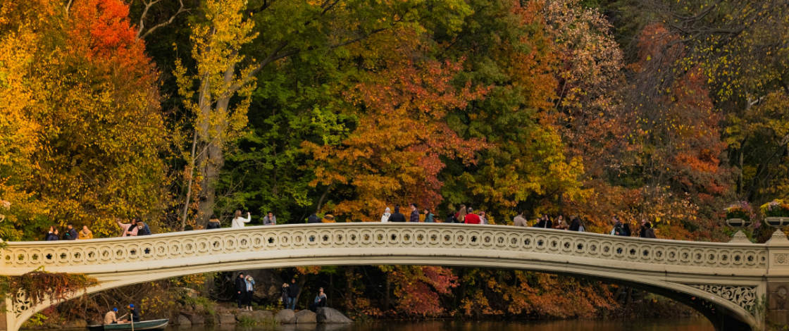 38 tolle Aktivitäten in NYC diesen Herbst – Straßenfeste & Festivals, die allererste Pizza-Woche, Apfelpflücken und vieles mehr