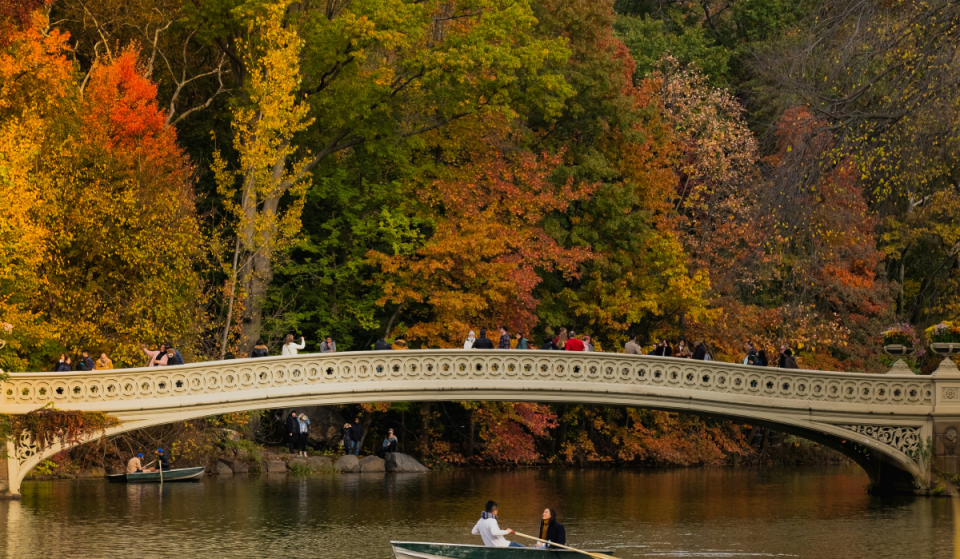 26 cose favolose da fare a New York quest’autunno: fiere di strada e festival, la prima edizione in assoluto della Pizza Week, la raccolta delle mele e molto altro ancora