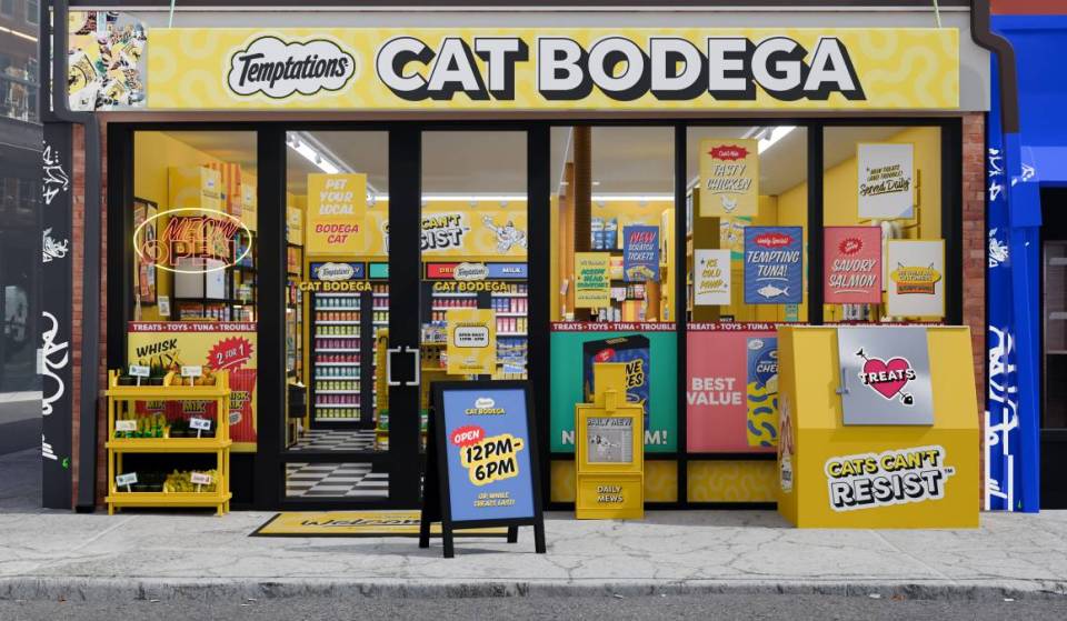 TEMPTATIONS™ apre il pop-up “Cat Bodega” a New York: date, luogo e omaggi