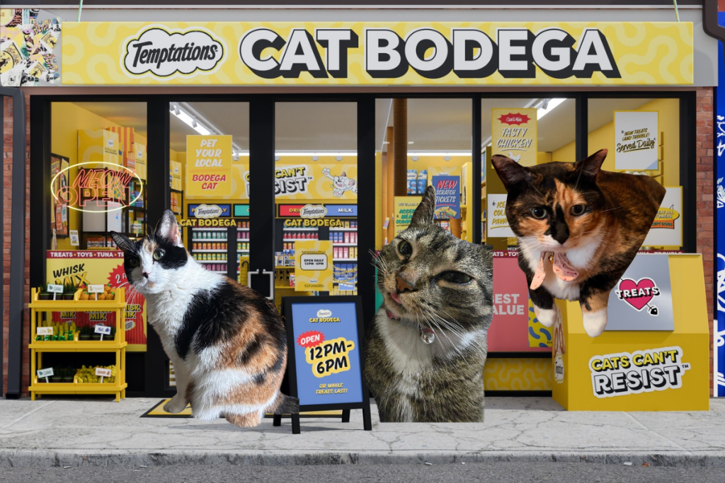 Temptations cat bodega nyc