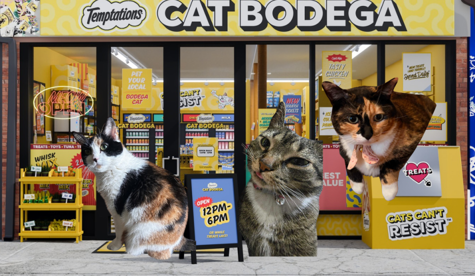 This free, first-ever ‘cat bodega’ is popping up in NYC this week, complete with a giant cat condo, free treats, and claw-machine prize