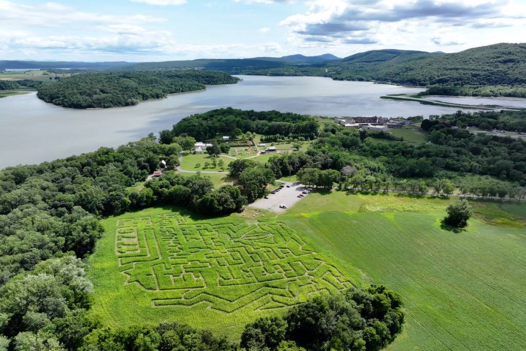 A solo cinco horas en coche de Nueva York, uno de los mejores laberintos de maíz de Estados Unidos ofrece un rompecabezas histórico de 6 acres, pintorescos cruceros por el lago y un festival de la cosecha en octubre