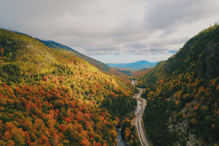 Ny State Rivers Map New York State's interactive fall foliage map is now live — and the ...