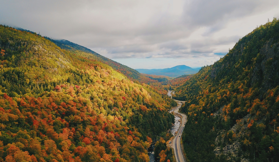 Die interaktive Herbstlaubkarte des Staates New York ist jetzt online – und in einigen Regionen fangen die Blätter bereits an, sich zu verfärben