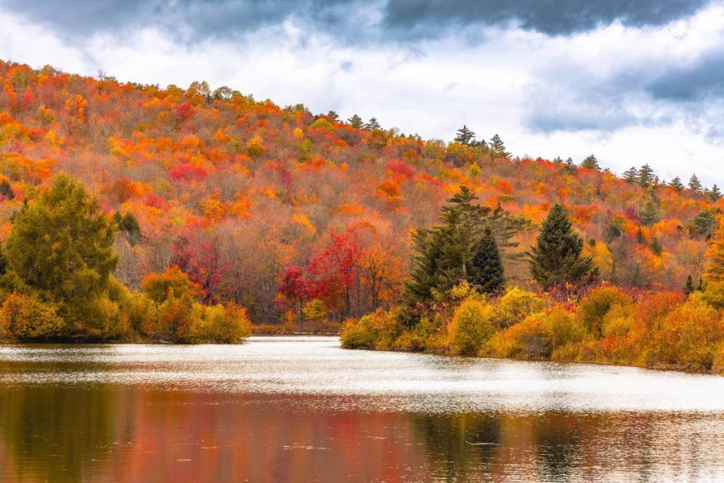 Herbstlaub im Bundesstaat New York