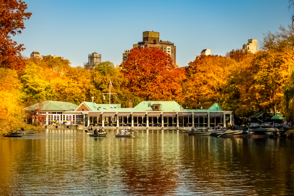 Central Park's fall foliage map is officially live—track when the park ...