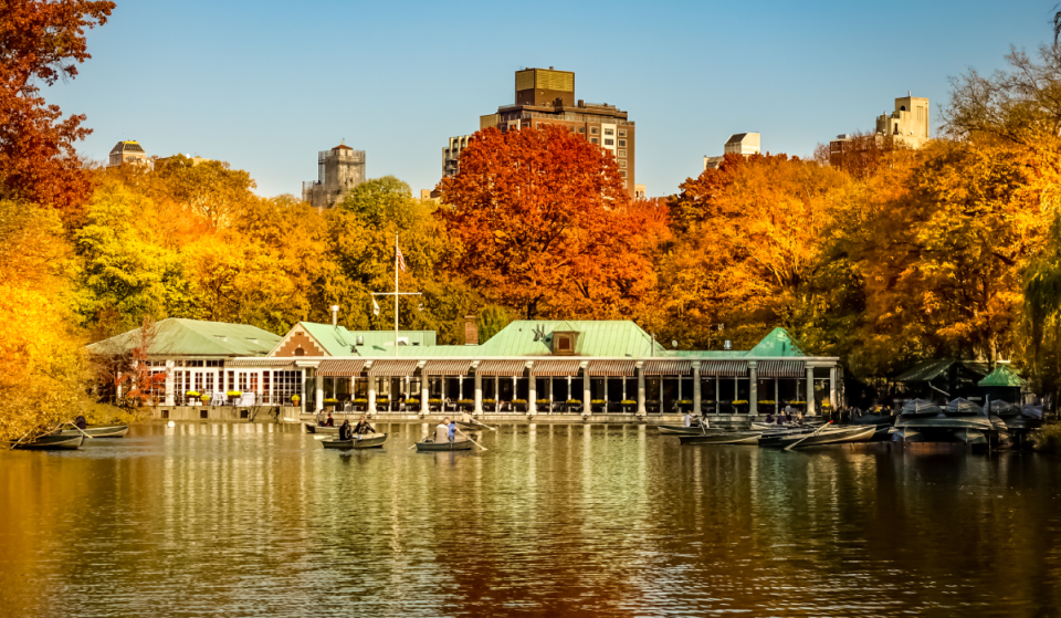 Die Herbstlaub-Karte des Central Parks ist offiziell online – und alle 19.000 Bäume des Parks verfärben sich gerade