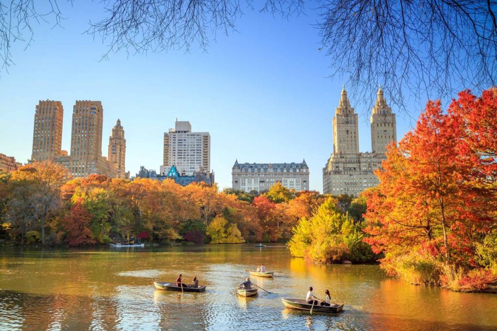 Tree Map Pin Don't miss peak fall colors: This map tracks when Central Park's 19,000 ...