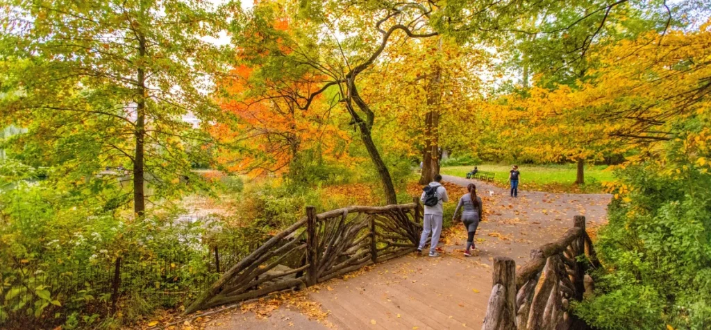 Central Park NYC_Pool_RusticBridge