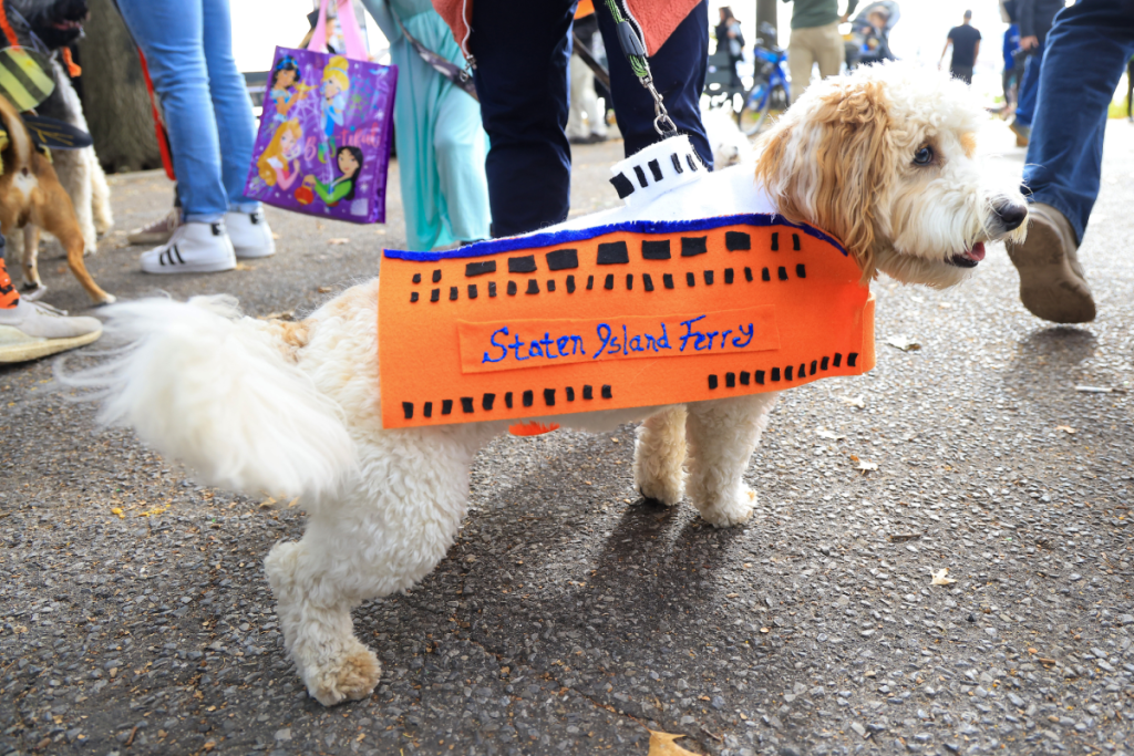 Tompkins Square Halloween-Hundeparade