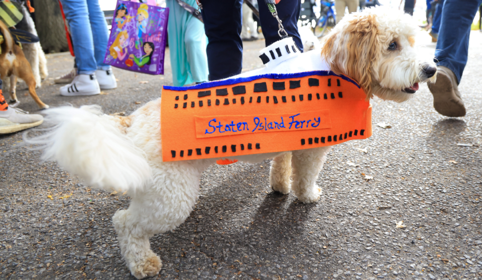 The ‘world’s largest dog parade’ returns to NYC next weekend—thousands of pups in Halloween costumes, adoptable rescues, &amp; a street-wide block party