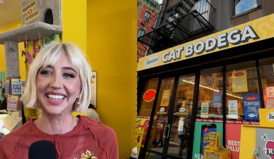 Heidi Gardner at the NYC Temptations Cat Bodega pop-up
