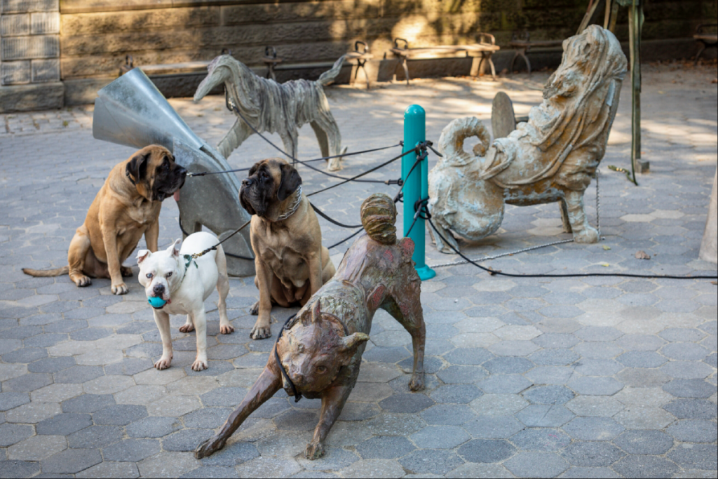 Camille Henrot: mostra “Dogs” a Central Park, New York