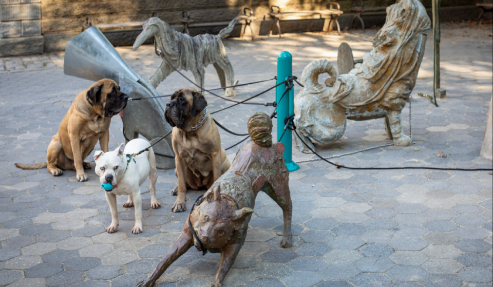 A pack of 12 large-scale dog sculptures has taken over Central Park