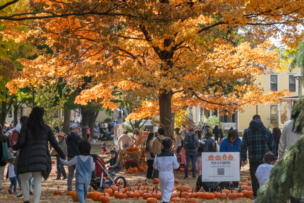 Pumpkin Point a Governors Island