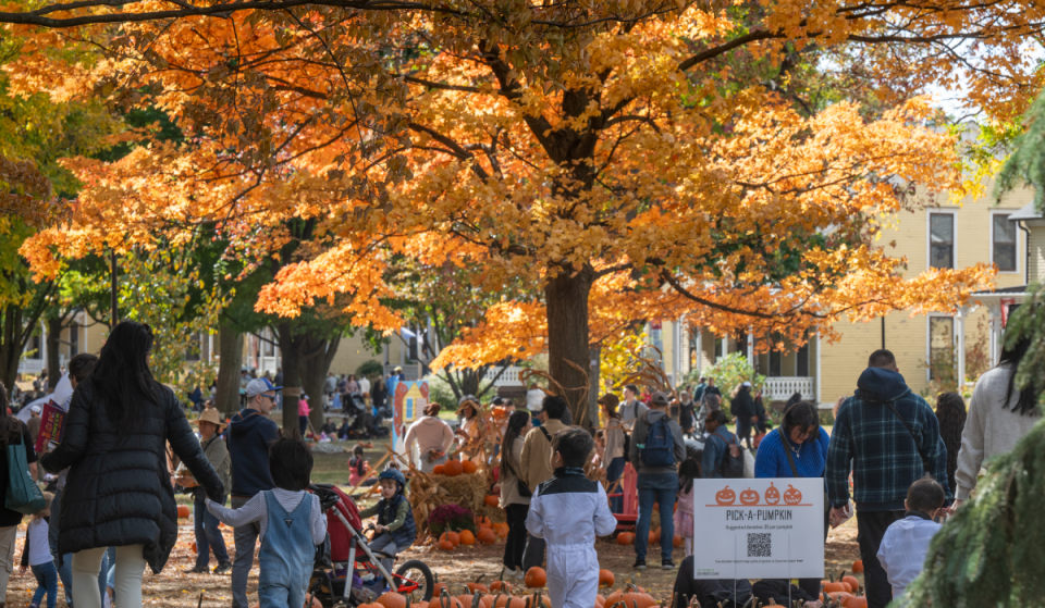 NYC’s largest free waterfront pumpkin patch returns to this car-free island for just 2 days this October—with trick-or-treating, ghost tours, a reading nook, &amp; more