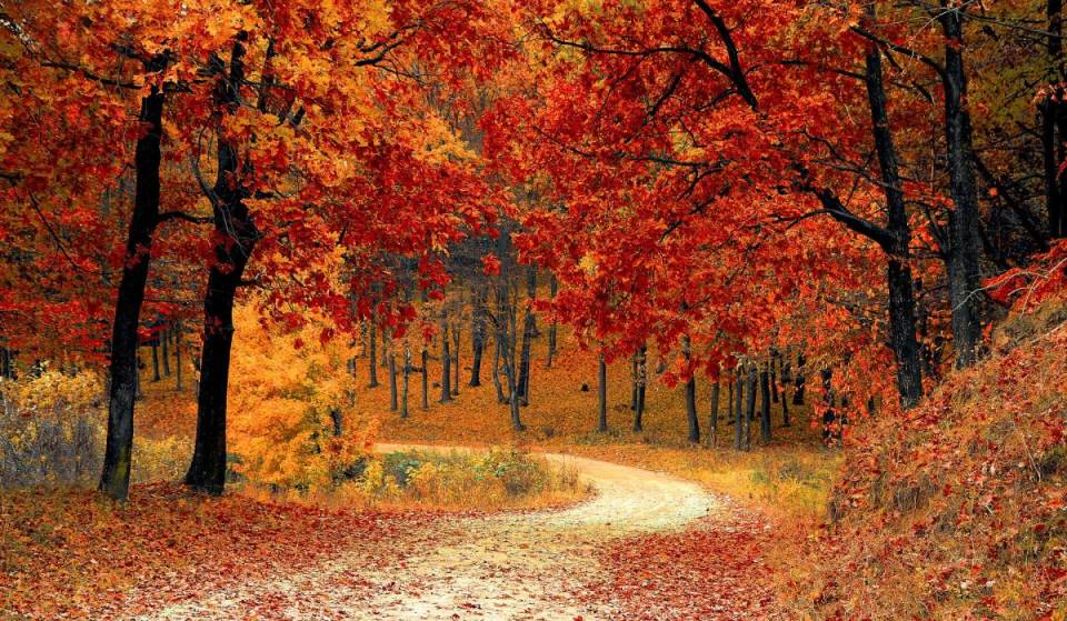Als eine der besten Kleinstädte Amerikas gekürt, ist dieses historische Reiseziel im Upstate New York der perfekte Ort für einen Herbsturlaub – mit Mineralquellen, 2.000-Acre-Parks und gemütlichen europäischen Bäckereien
