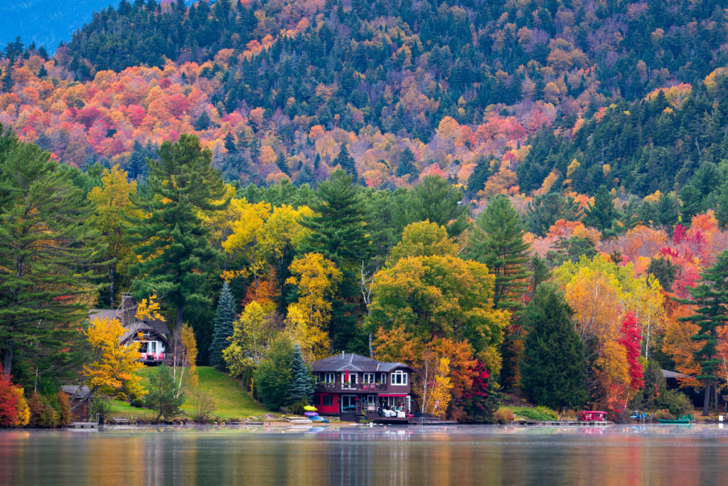NY fall foliage is ramping up, with some areas 85% changed