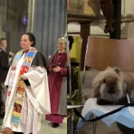 Tiersegnung in einer New Yorker Kathedrale zum Fest des Heiligen Franziskus